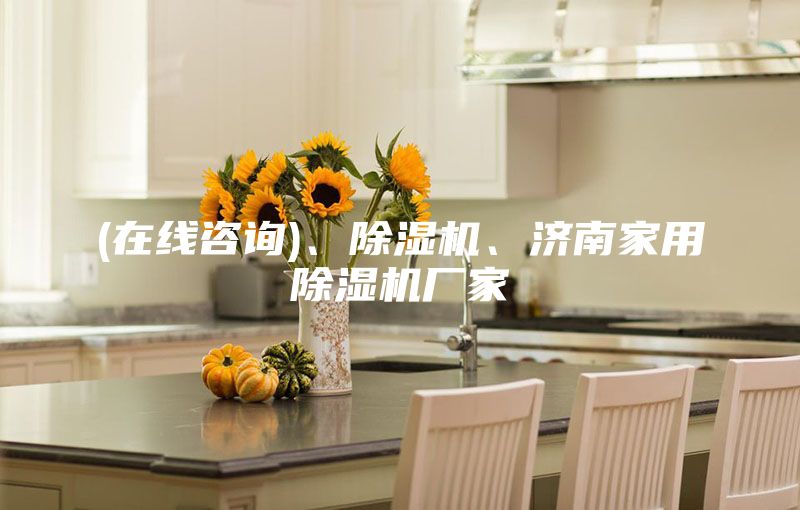(在線咨詢)、除濕機(jī)、濟(jì)南家用除濕機(jī)廠家