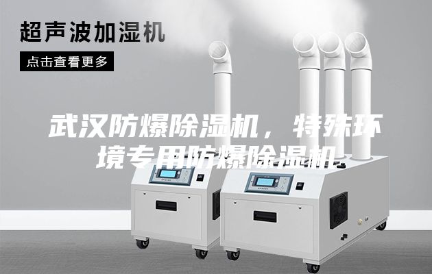 武漢防爆除濕機(jī)，特殊環(huán)境專用防爆除濕機(jī)