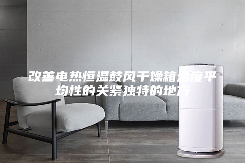 改善電熱恒溫鼓風(fēng)干燥箱溫度平均性的關(guān)緊獨(dú)特的地方