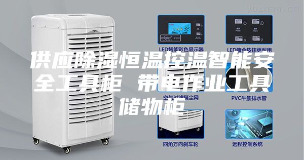 供應除濕恒溫控溫智能安全工具柜 帶電作業工具儲物柜