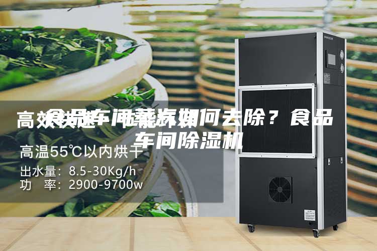 食品車(chē)間蒸汽如何去除？食品車(chē)間除濕機(jī)