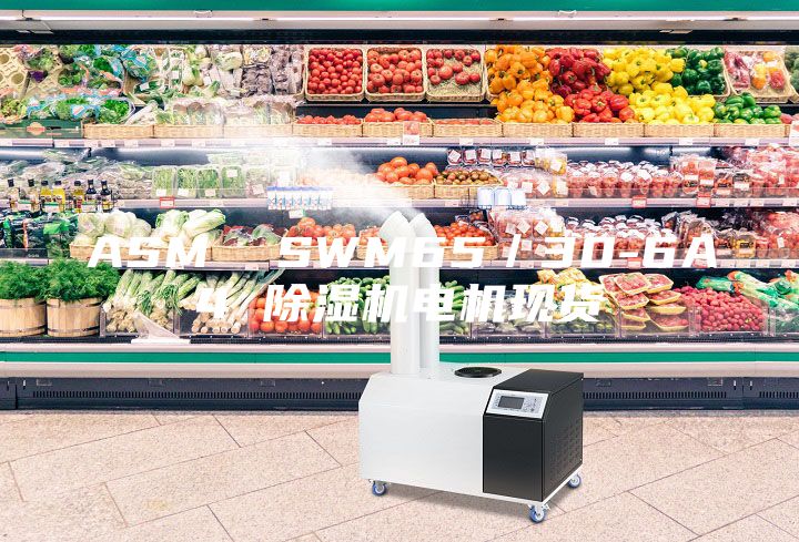 ASM SWM65/30-6A4 除濕機(jī)電機(jī)現(xiàn)貨