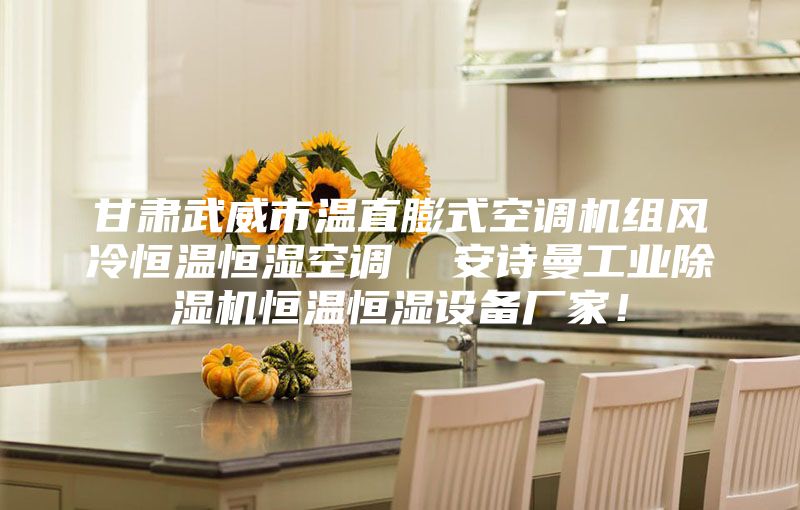 甘肅武威市溫直膨式空調機組風冷恒溫恒濕空調 安詩曼工業除濕機恒溫恒濕設備廠家!
