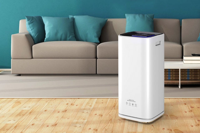 室內怎么防蟲防潮才有效?