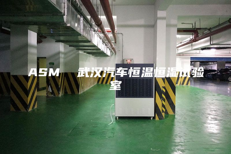 ASM 武漢汽車恒溫恒濕試驗(yàn)室