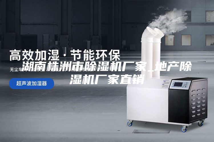 湖南株洲市除濕機廠家_地產除濕機廠家直銷