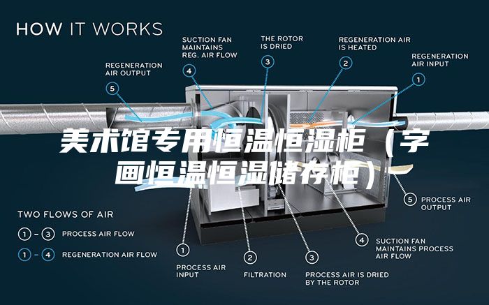 美術館專用恒溫恒濕柜（字畫恒溫恒濕儲存柜）