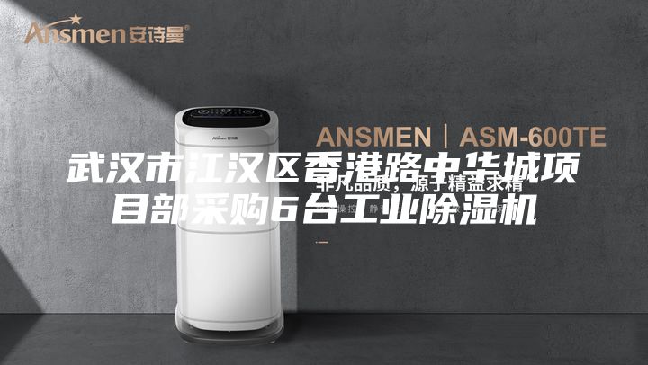 武漢市江漢區香港路中華城項目部采購6臺工業除濕機