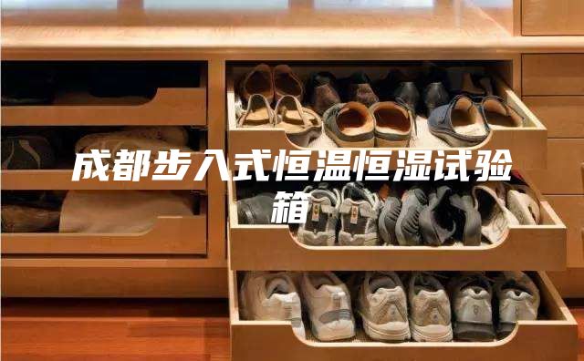 成都步入式恒溫恒濕試驗(yàn)箱
