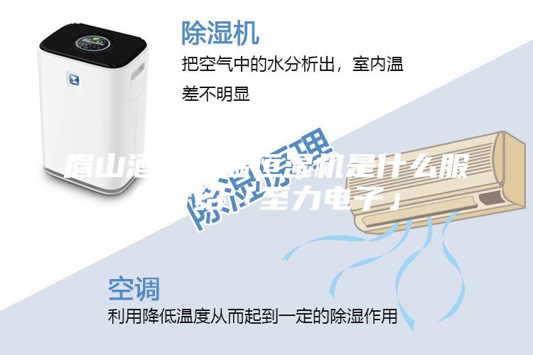 眉山酒窖恒溫恒濕機(jī)是什么服務(wù)介紹「至力電子」