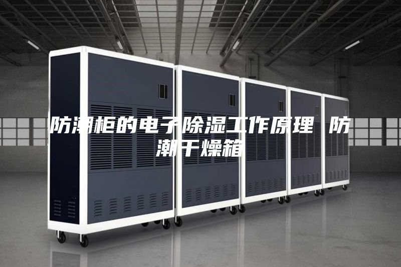 防潮柜的電子除濕工作原理 防潮干燥箱