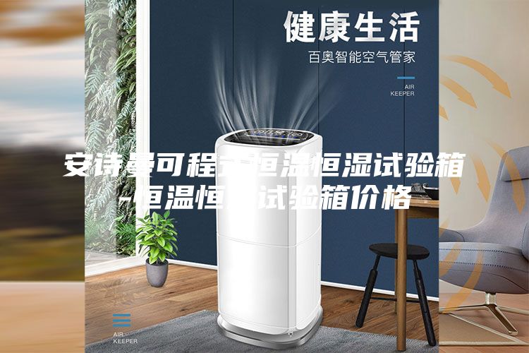 安詩曼可程式恒溫恒濕試驗箱-恒溫恒濕試驗箱價格