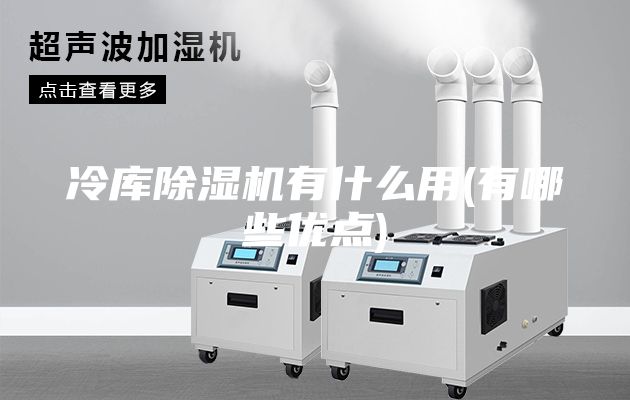 冷庫(kù)除濕機(jī)有什么用(有哪些優(yōu)點(diǎn))