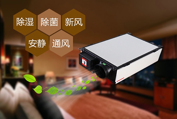 如何預防辦公室裝修后的防潮問題?