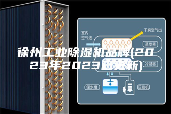 徐州工業(yè)除濕機(jī)品牌(2023年2023已更新)
