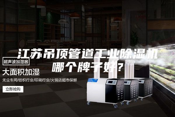 江蘇吊頂管道工業除濕機哪個牌子好?