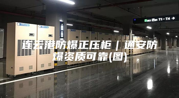 連云港防爆正壓柜|通安防爆資質(zhì)可靠(圖)