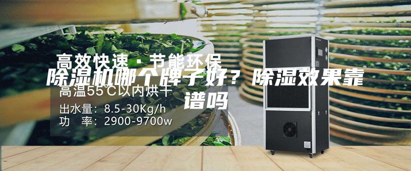 除濕機哪個牌子好？除濕效果靠譜嗎