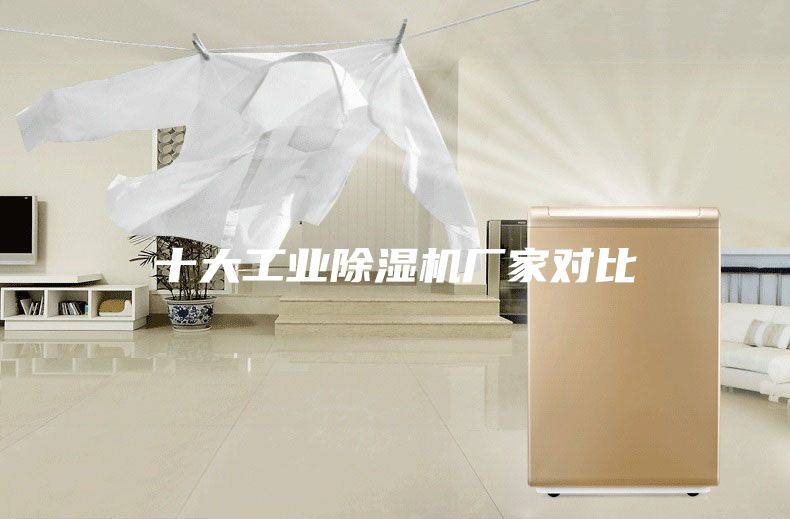 十大工業(yè)除濕機(jī)廠家對比