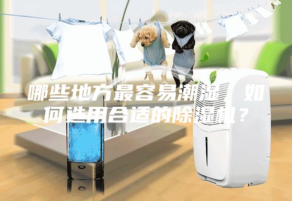 哪些地方最容易潮濕，如何選用合適的除濕機(jī)？