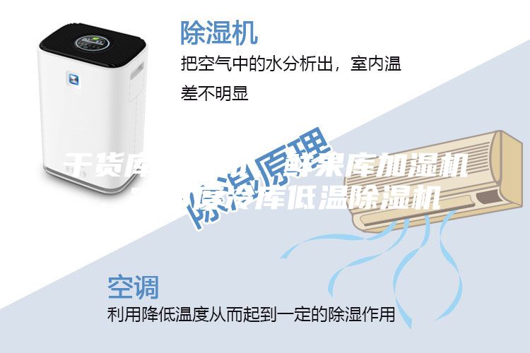 干貨庫除濕機，鮮果庫加濕機，2-8度冷庫低溫除濕機