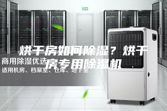 烘干房如何除濕?烘干房專用除濕機(jī)