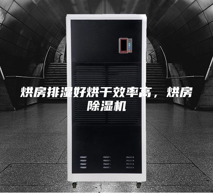 烘房排濕好烘干效率高,烘房除濕機(jī)