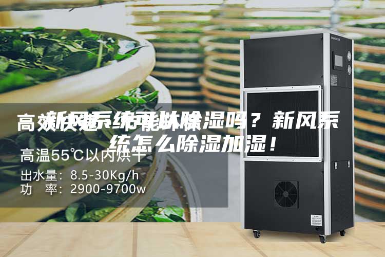 新風(fēng)系統(tǒng)可以除濕嗎?新風(fēng)系統(tǒng)怎么除濕加濕!