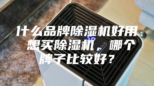 什么品牌除濕機好用 想買除濕機,哪個牌子比較好?