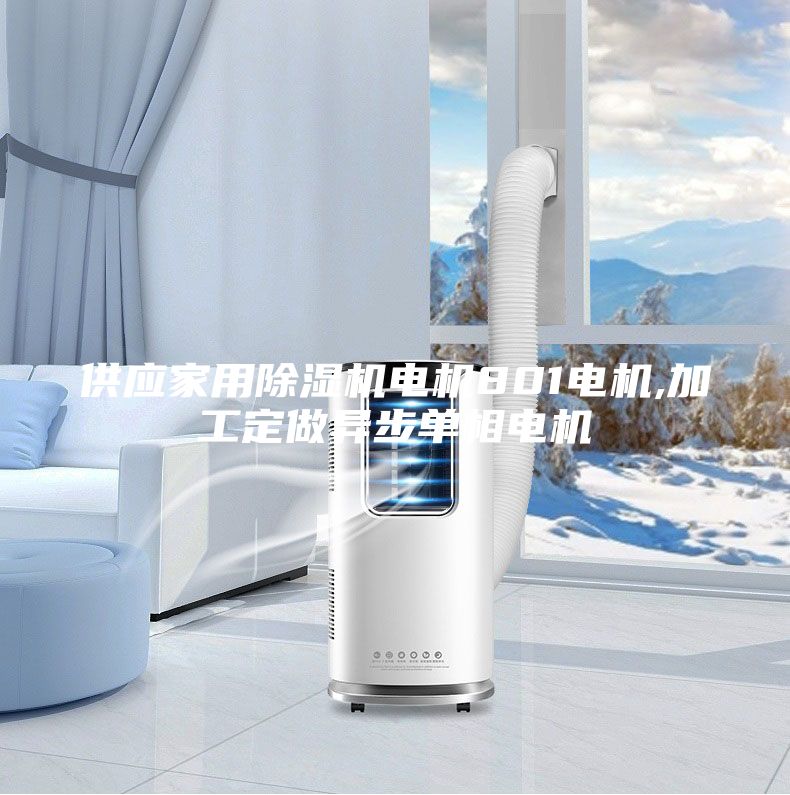 供應(yīng)家用除濕機(jī)電機(jī)801電機(jī),加工定做異步單相電機(jī)