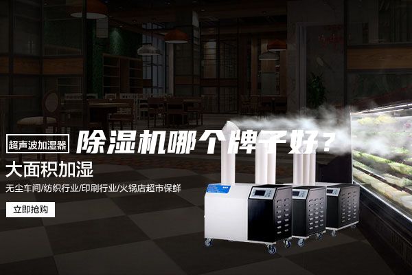 除濕機(jī)哪個(gè)牌子好?