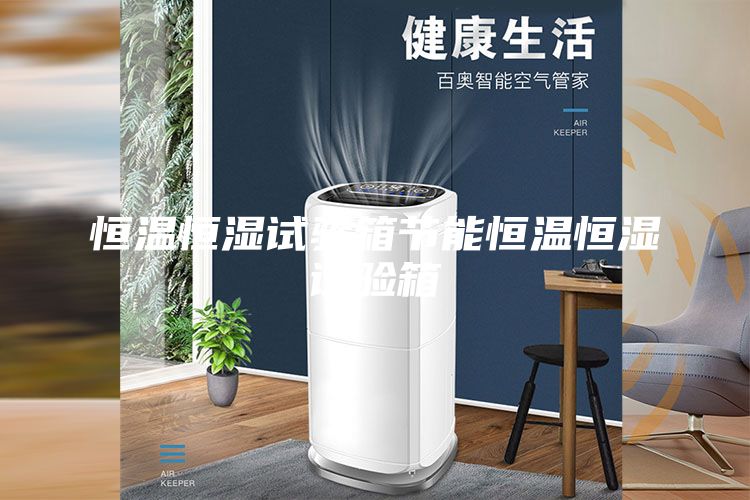 恒溫恒濕試驗箱節(jié)能恒溫恒濕試驗箱