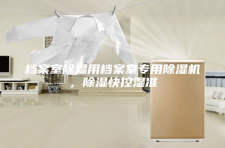 檔案室除濕用檔案室專用除濕機，除濕快控濕準