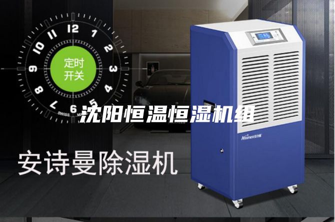 沈陽恒溫恒濕機組