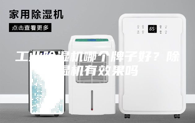 工業除濕機哪個牌子好？除濕機有效果嗎