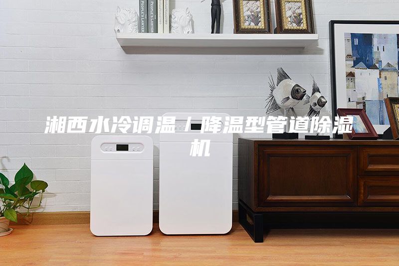 湘西水冷調(diào)溫/降溫型管道除濕機