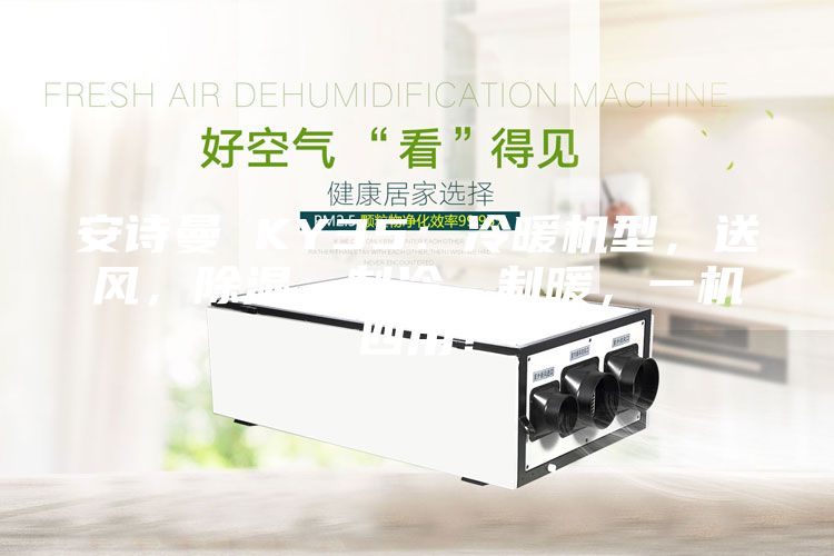 安詩(shī)曼 KY35：冷暖機(jī)型，送風(fēng)，除濕，制冷，制暖，一機(jī)四用！