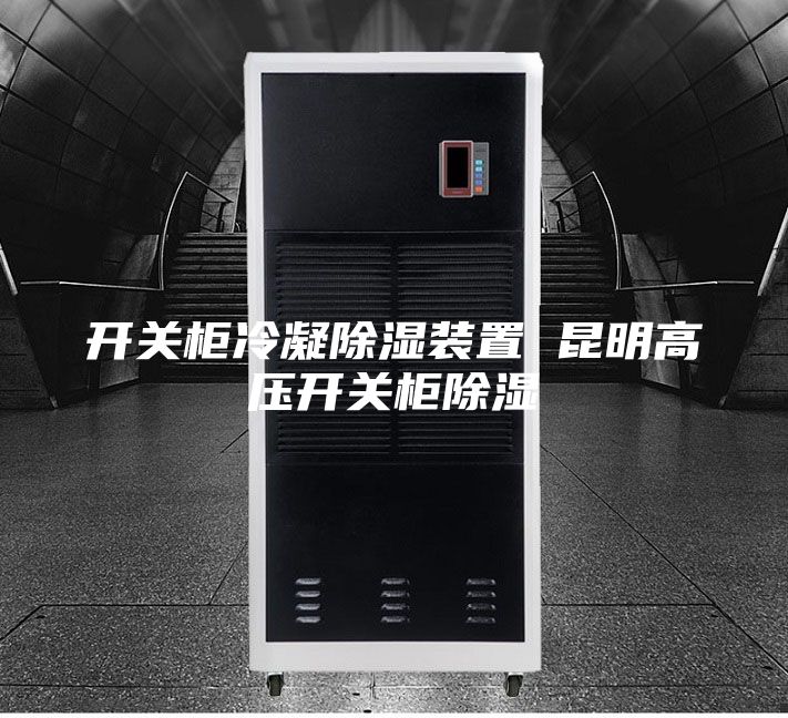 開關(guān)柜冷凝除濕裝置 昆明高壓開關(guān)柜除濕