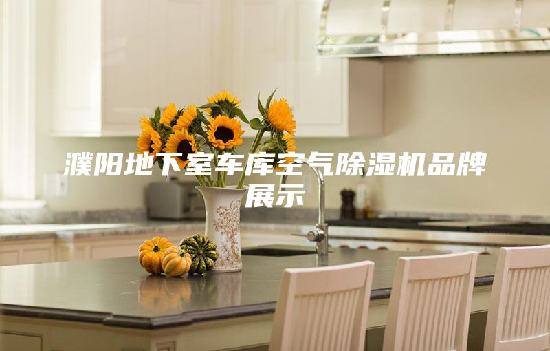濮陽地下室車庫空氣除濕機(jī)品牌展示