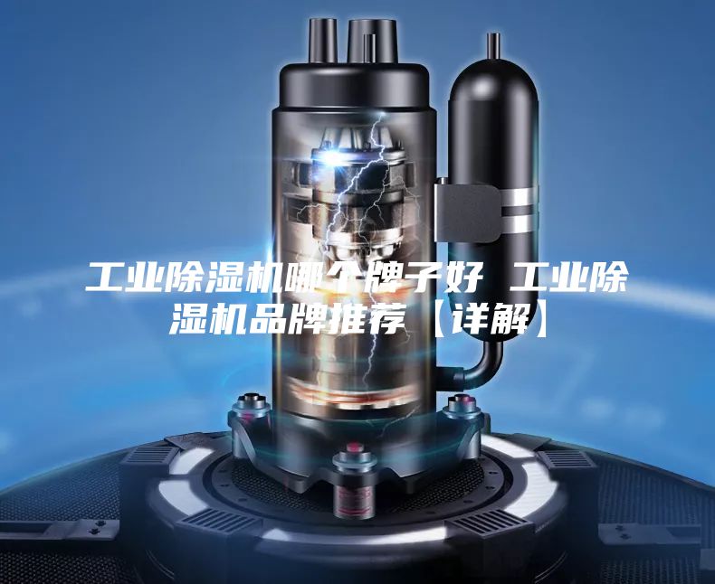 工業除濕機哪個牌子好 工業除濕機品牌推薦【詳解】