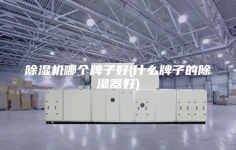 除濕機哪個牌子好(什么牌子的除濕器好)