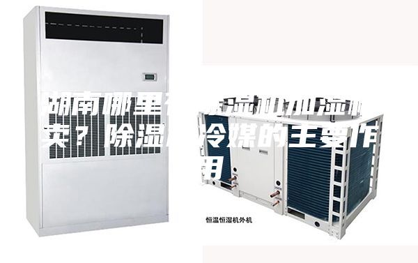 湖南哪里有除濕機加濕機賣？除濕機冷媒的主要作用
