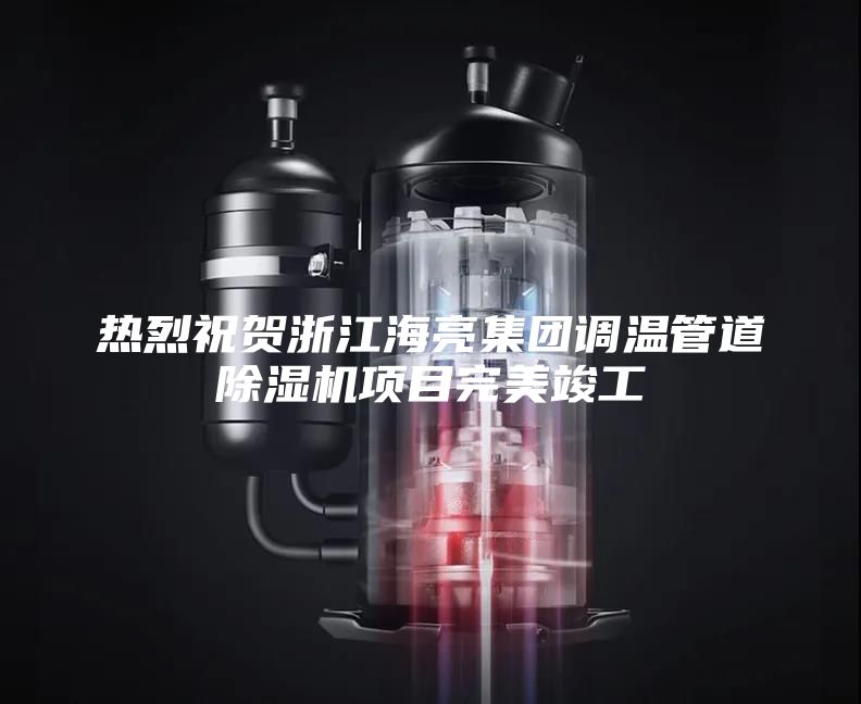 熱烈祝賀浙江海亮集團調溫管道除濕機項目完美竣工