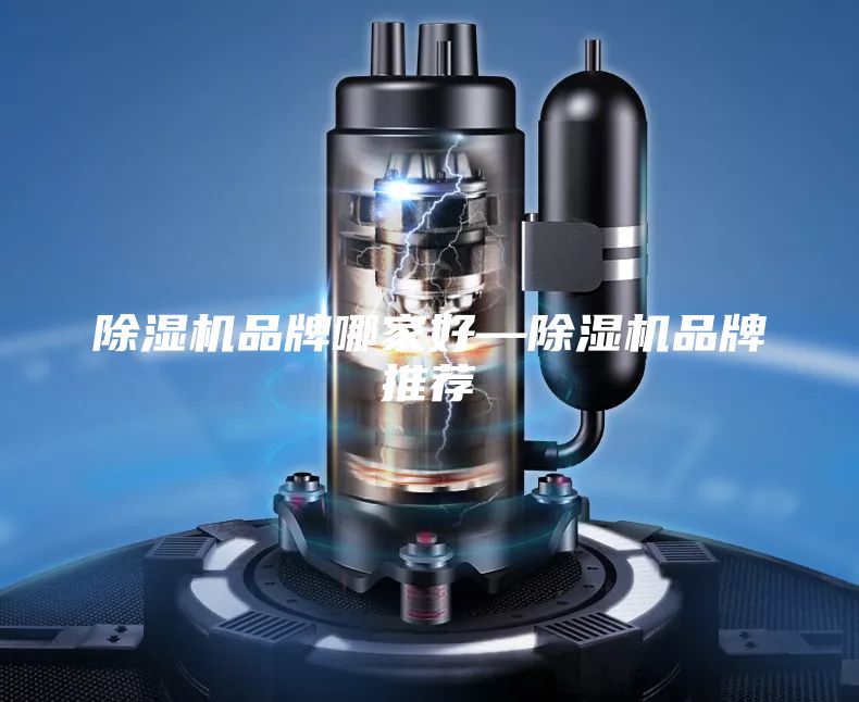 除濕機(jī)品牌哪家好—除濕機(jī)品牌推薦