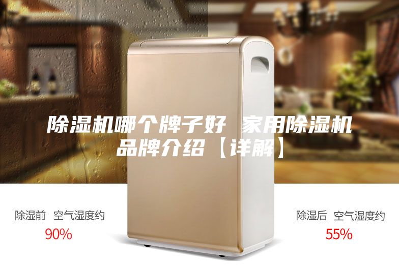 除濕機哪個牌子好 家用除濕機品牌介紹【詳解】