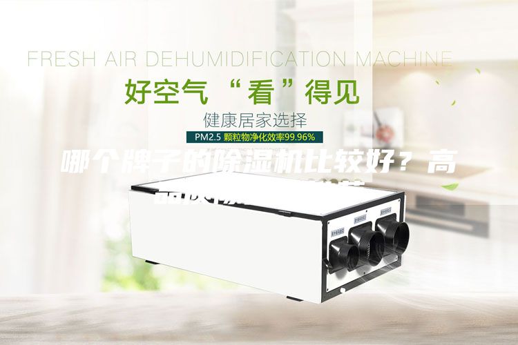 哪個牌子的除濕機比較好？高品質(zhì)除濕機推薦