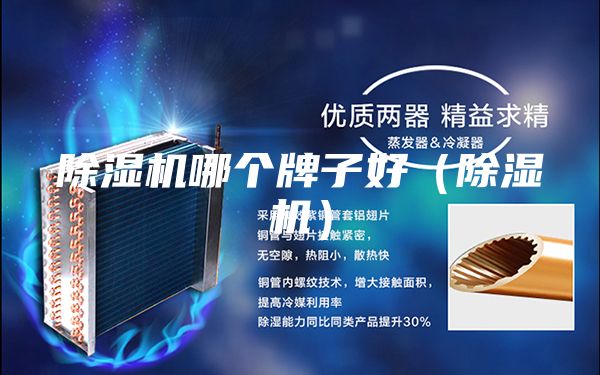 除濕機(jī)哪個(gè)牌子好（除濕機(jī)）