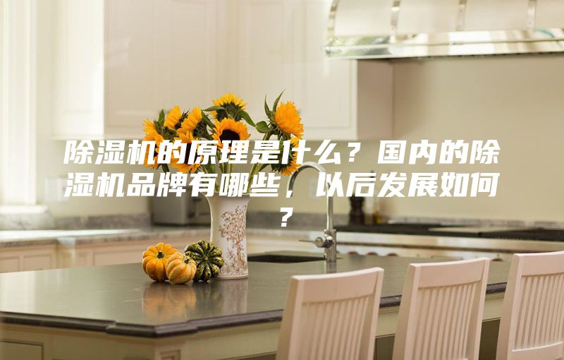 除濕機(jī)的原理是什么？國內(nèi)的除濕機(jī)品牌有哪些，以后發(fā)展如何？