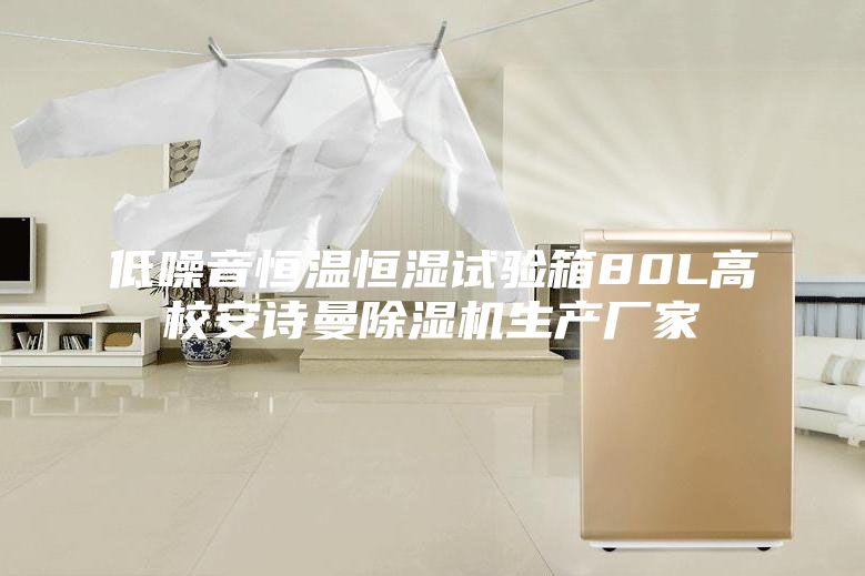 低噪音恒溫恒濕試驗(yàn)箱80L高校安詩曼除濕機(jī)生產(chǎn)廠家