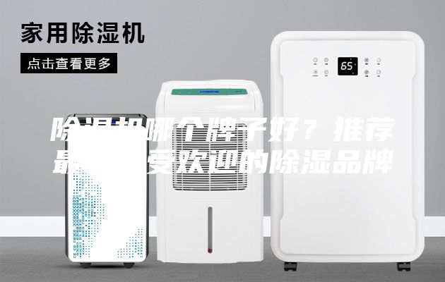 除濕機哪個牌子好？推薦最新最受歡迎的除濕品牌
